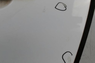 Porte avant gauche PEUGEOT 307