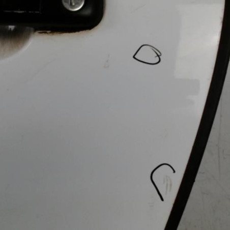 Porte avant gauche PEUGEOT 307