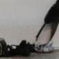 Ceinture avant droit OPEL CORSA D