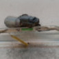 Moteur essuie glace avant RENAULT MEGANE 3