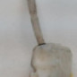 Vase de lave glace RENAULT MEGANE 2