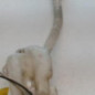 Vase de lave glace RENAULT MEGANE 2