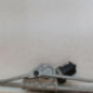 Moteur essuie glace avant MINI MINI 2 R56