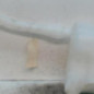 Vase de lave glace RENAULT MASTER 3