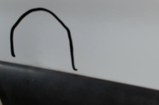 Porte laterale gauche RENAULT KANGOO 1