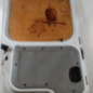 Porte laterale gauche RENAULT KANGOO 1