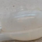 Vase d'expansion RENAULT MASTER 3