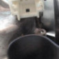 Moteur essuie glace arriere CITROEN DS3