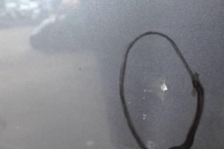 Porte arriere gauche HYUNDAI I 20 1 Photo n°3