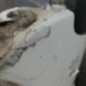 Pare choc arriere PEUGEOT 206