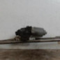 Moteur essuie glace avant SUZUKI SWIFT 4