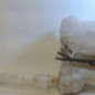 Vase de lave glace RENAULT MASTER 3