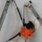 Leve vitre electrique avant droit CITROEN C4 GRAND PICASSO 1