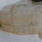 Vase d'expansion OPEL MERIVA B