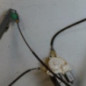 Leve vitre electrique avant gauche RENAULT LAGUNA 3
