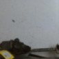 Moteur essuie glace avant OPEL INSIGNIA 1