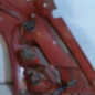 Feu arriere principal droit (feux) SUZUKI SWIFT 3