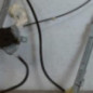 Leve vitre electrique avant droit CITROEN XSARA