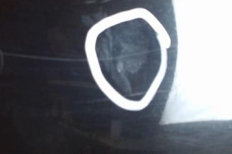 Porte arriere droit CITROEN C6