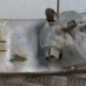 Optique avant secondaire gauche (feux)(clignotant) PEUGEOT BOXER 1