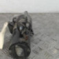 Demarreur RENAULT CLIO 4