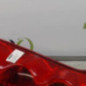 Feu arriere principal gauche (feux) NISSAN NOTE 1