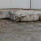 Optique avant secondaire gauche (feux)(clignotant) NISSAN INTERSTAR 1
