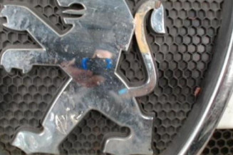 Calandre PEUGEOT BOXER 2 Photo n°1