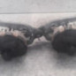 Moteur essuie glace avant PEUGEOT 407