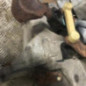 Boite de vitesses PEUGEOT 1007