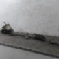 Cremaillere assistee RENAULT GRAND SCENIC 3