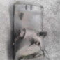 Optique avant secondaire gauche (feux)(clignotant) PEUGEOT BOXER 1