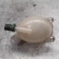 Vase d'expansion RENAULT CLIO 4