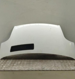 Capot RENAULT TRAFIC 2 Photo n°1