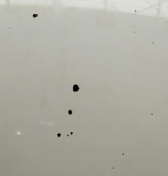 Capot RENAULT TRAFIC 2