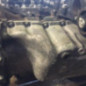 Moteur PEUGEOT 307