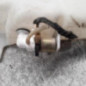 Vase de lave glace PEUGEOT BOXER 1
