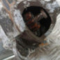 Demarreur RENAULT SCENIC 2