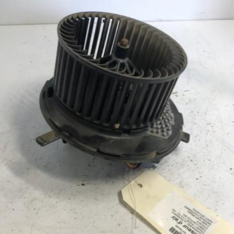 Pulseur d'air VOLKSWAGEN TIGUAN 1