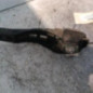 Serrure avant gauche CITROEN C3 1