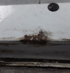Porte avant gauche FORD TRANSIT 4 Photo n°7