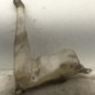 Vase de lave glace OPEL MOVANO A