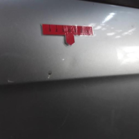 Porte arriere gauche CITROEN C3 2