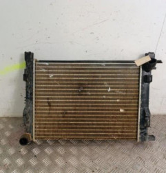 Radiateur eau DACIA DUSTER 1 Photo n°1