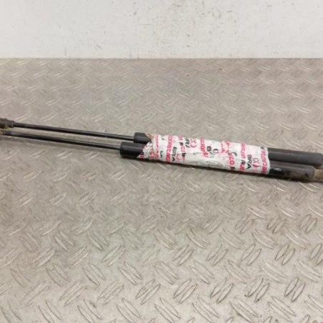Verin de coffre RENAULT SCENIC 3
