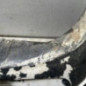 Pare choc avant CITROEN BERLINGO 1