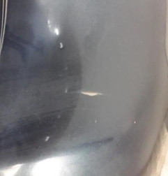 Pare choc arriere VOLKSWAGEN GOLF PLUS