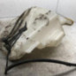 Vase de lave glace RENAULT LAGUNA 2