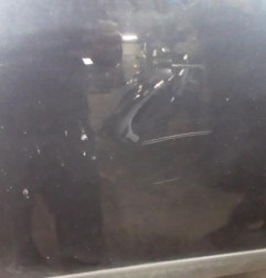 Porte avant droit VOLKSWAGEN GOLF PLUS Photo n°3