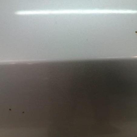 Porte arriere gauche OPEL ASTRA H
